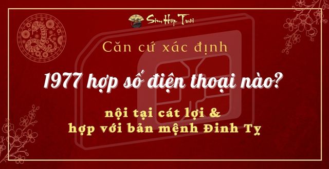 tuổi đinh tỵ hợp số điện thoại nào