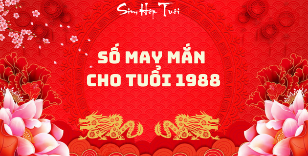 1988 hợp số nào