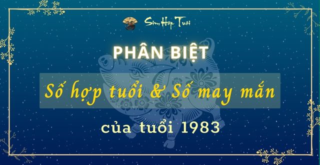 con số may mắn của tuổi quý hợi