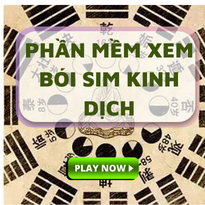 sim kinh dịch